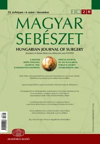 magyar-sebeszet